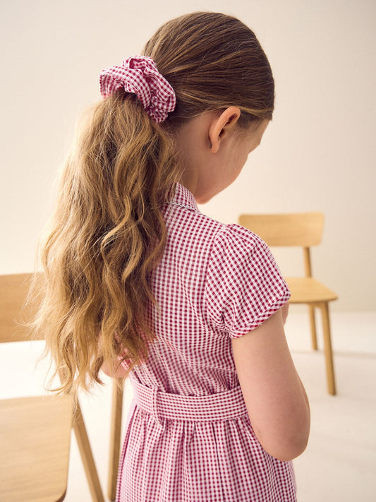 Dsiney Kidz - Red Gingham Cotton Rich Belted School Dress with Scrunchie (3-14yrs) image 2
