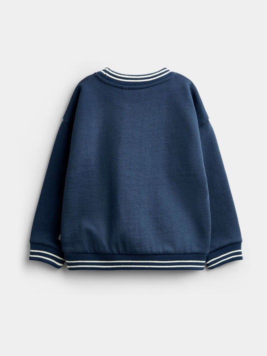 Dsiney Kidz - JoJo Maman Bébé Blue Triceratops Sweatshirt image 2