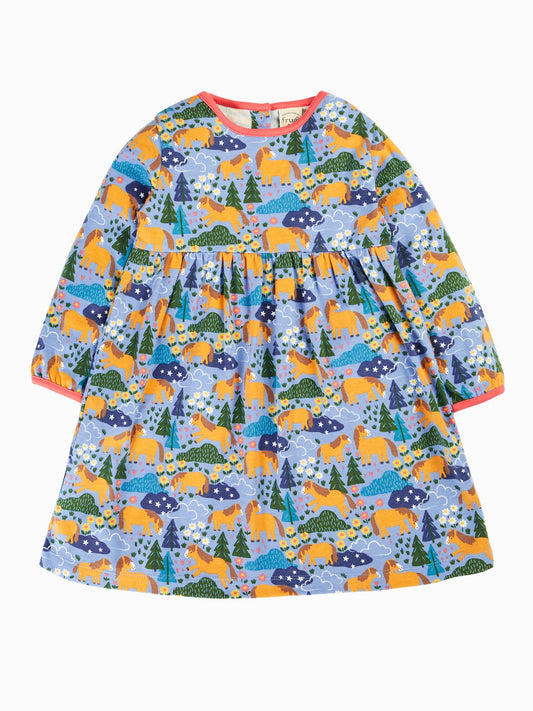 Disney Kidz - Frugi Blue Dani Dress image 1