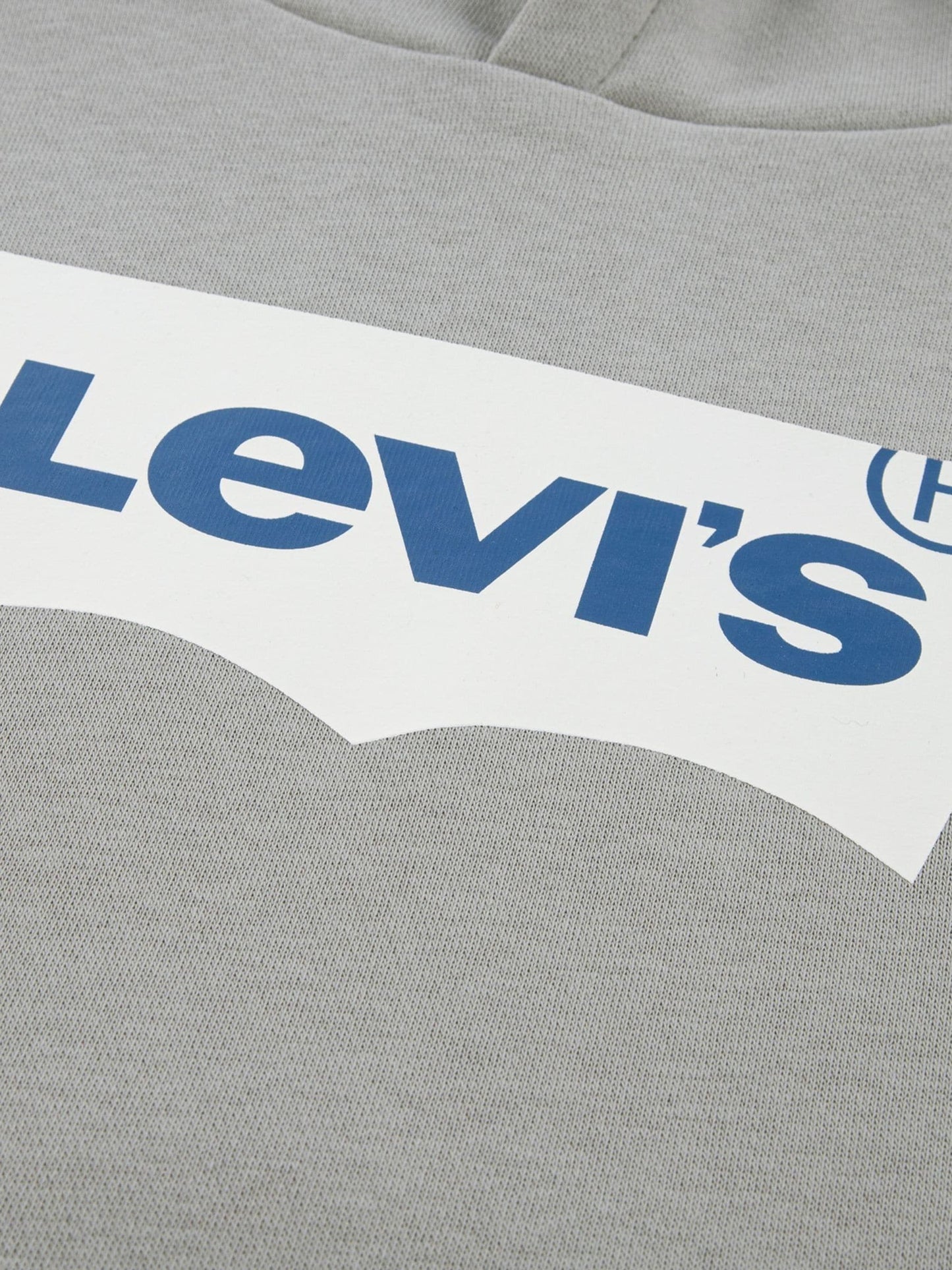 Dsiney Kidz - Levi's® Grey Batwing Pullover Hoodie image 3