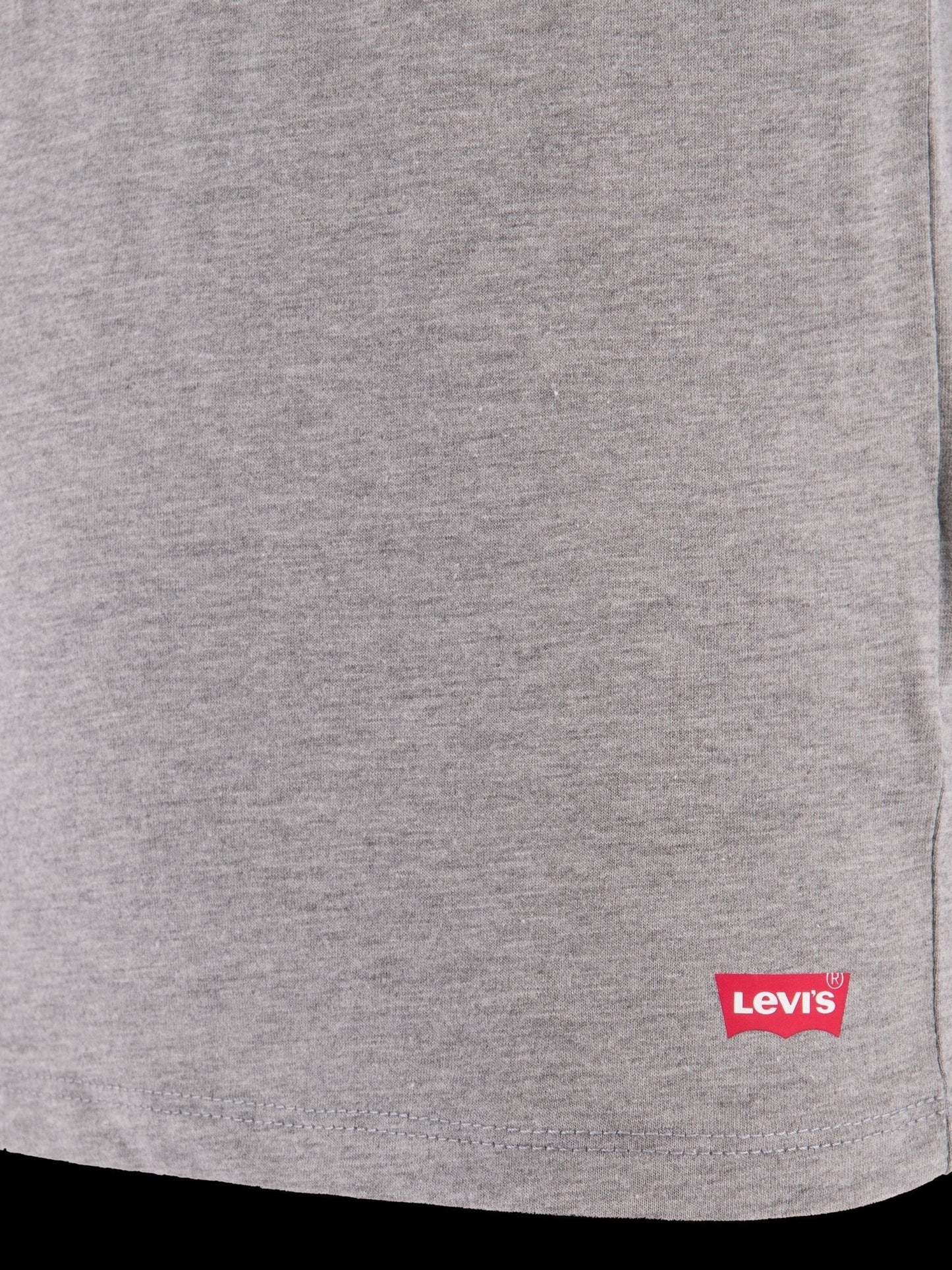 Dsiney Kidz - Levi's® Blue Crew Neck T-Shirts 2 Pack image 4