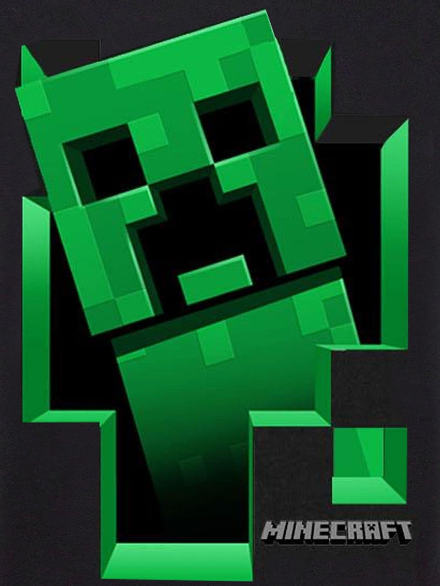 Dsiney Kidz - Vanilla Underground Black 100% Cotton Minecraft Gaming T-Shirt image 3