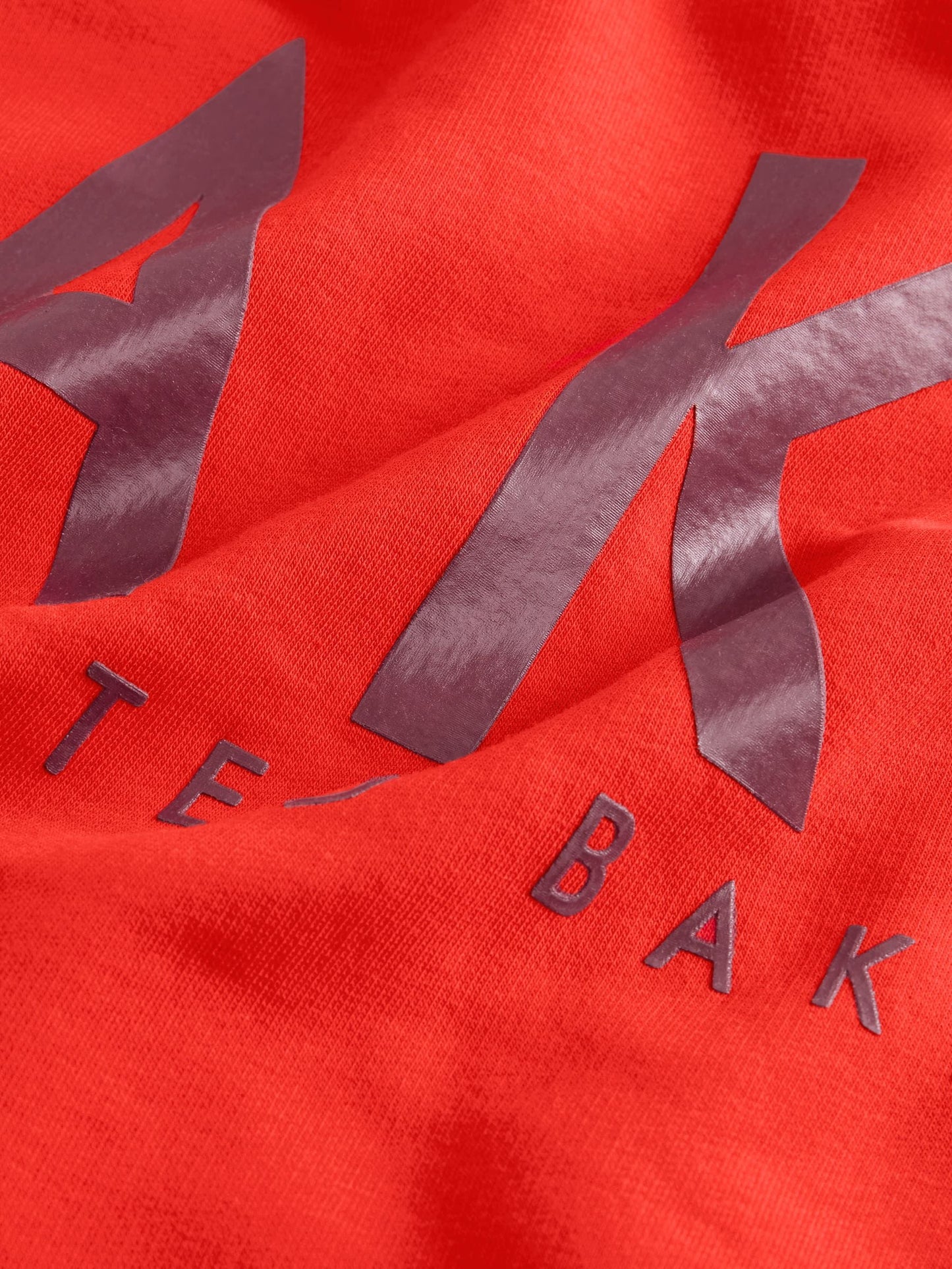 Baker by Ted Baker Oversized Back Print Hoodie