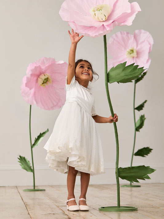 Dsiney Kidz - JoJo Maman Bébé Cream Embroidered Lace Flower Girl Dress With Satin Sash image 2