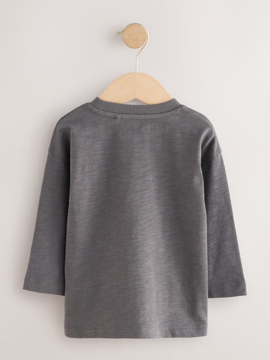 Grey Slogan Long Sleeves Semi Plain T-Shirt (3mths-7yrs) image 2