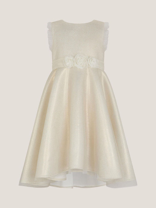 Dsiney Kidz - Monsoon Gold Principesa Appliqué Rose Sparkle Dress image 2