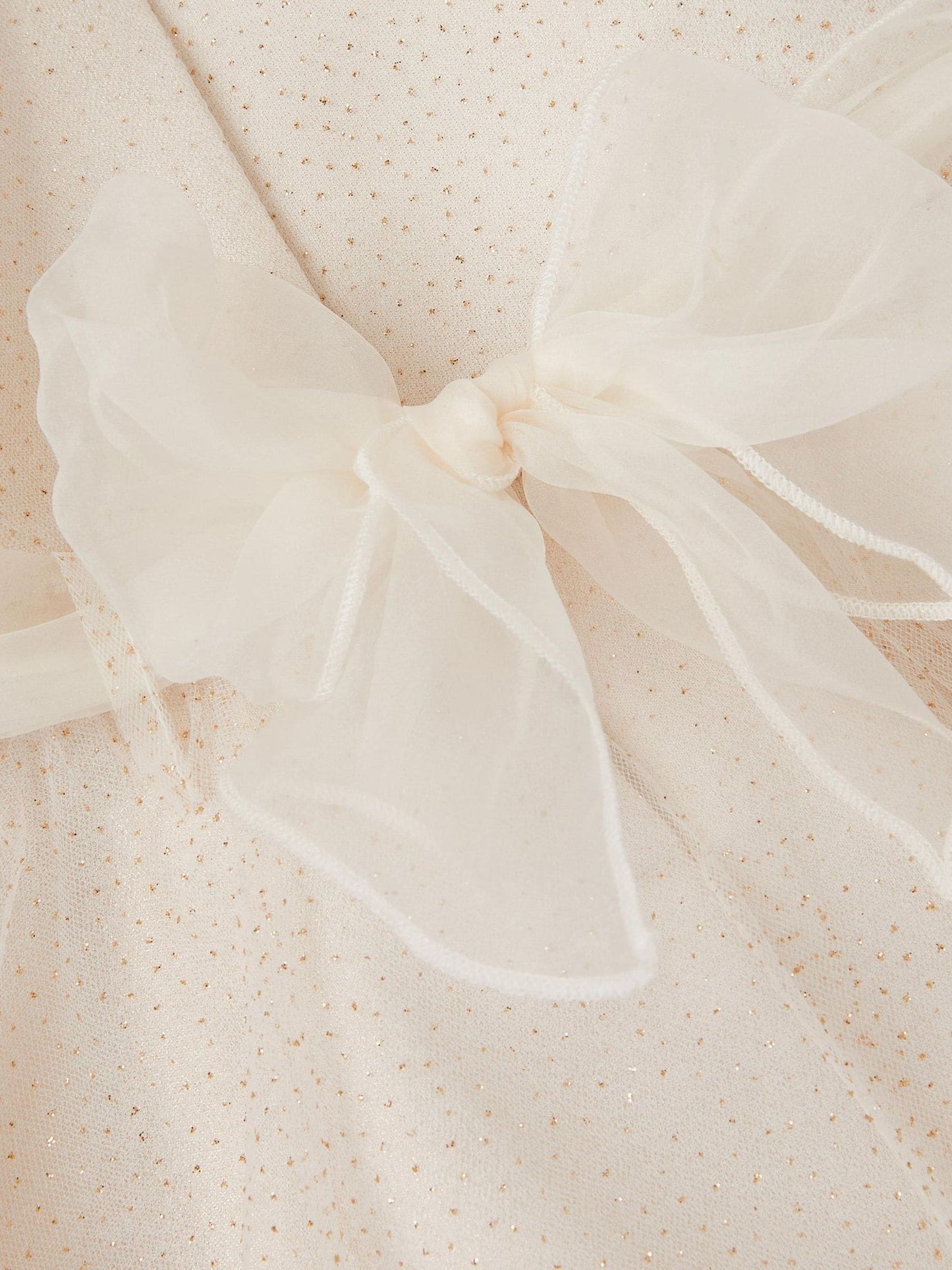 Monsoon Gold Baby Principesa Appliqué Rose Sparkle Dress image 4