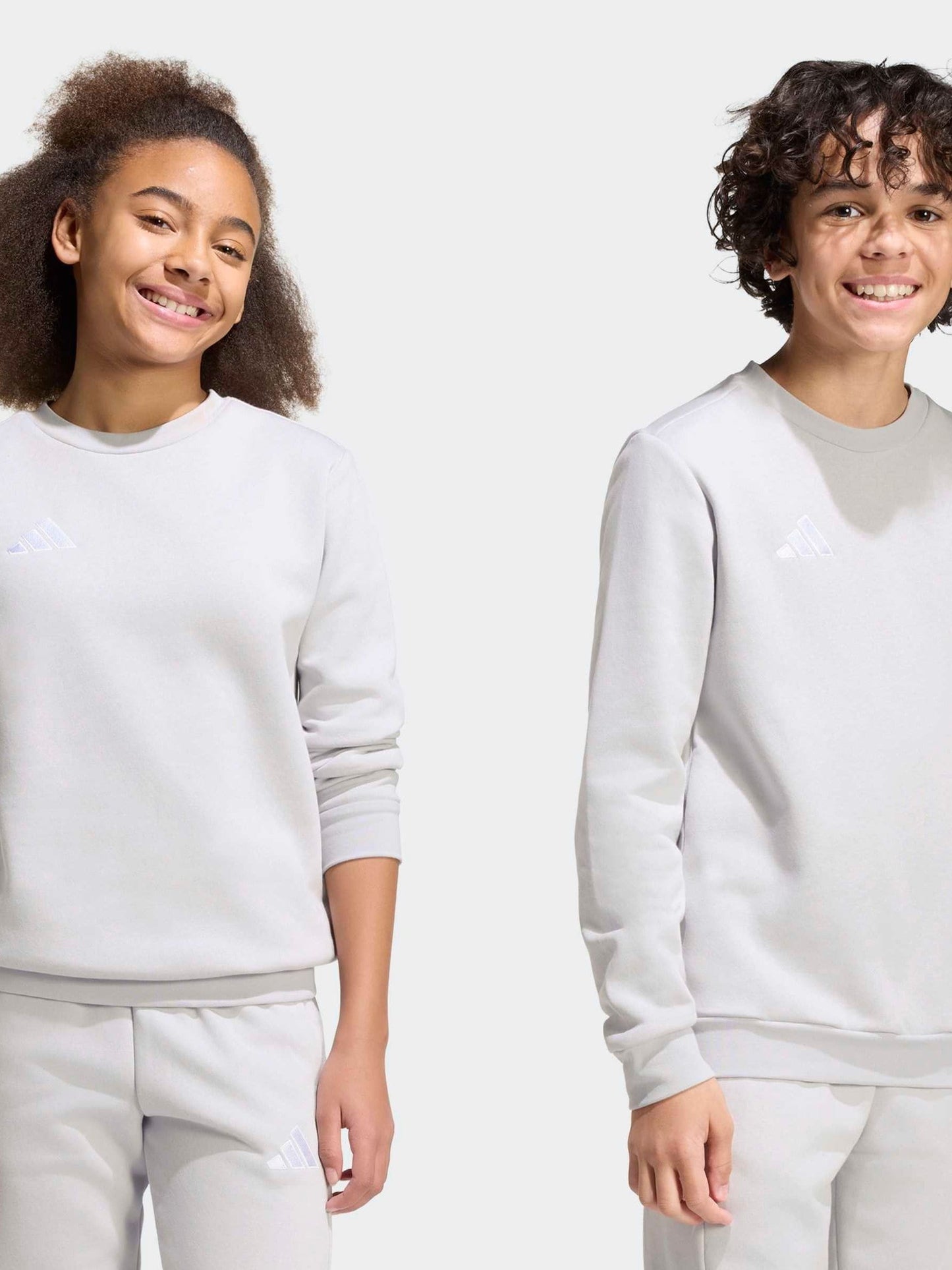 Dsiney Kidz - adidas Grey Entrada 26 Sweat Top image 5