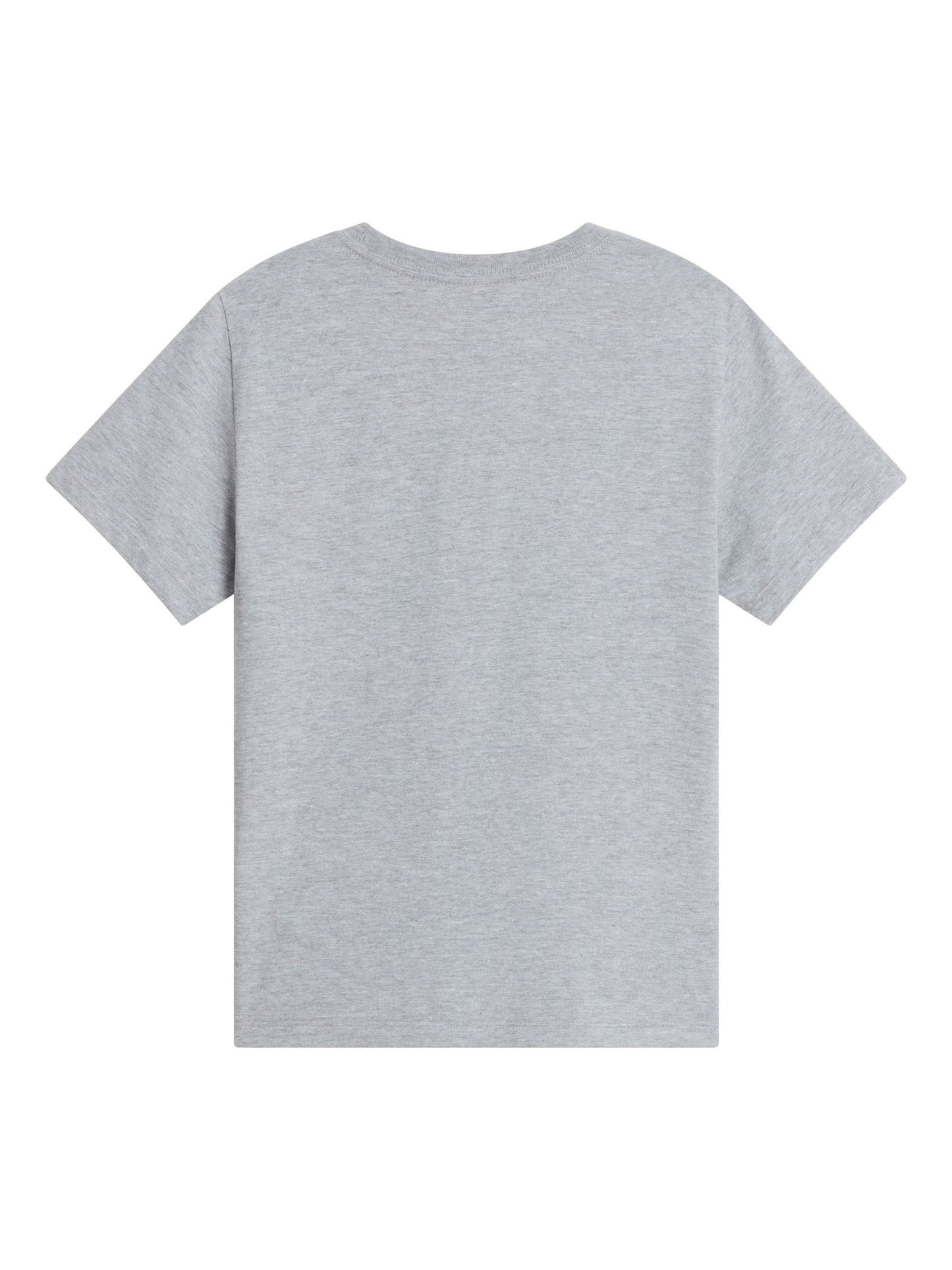 Dsiney Kidz - The North Face Grey Teen Evolution Simple Dome T-Shirt image 5