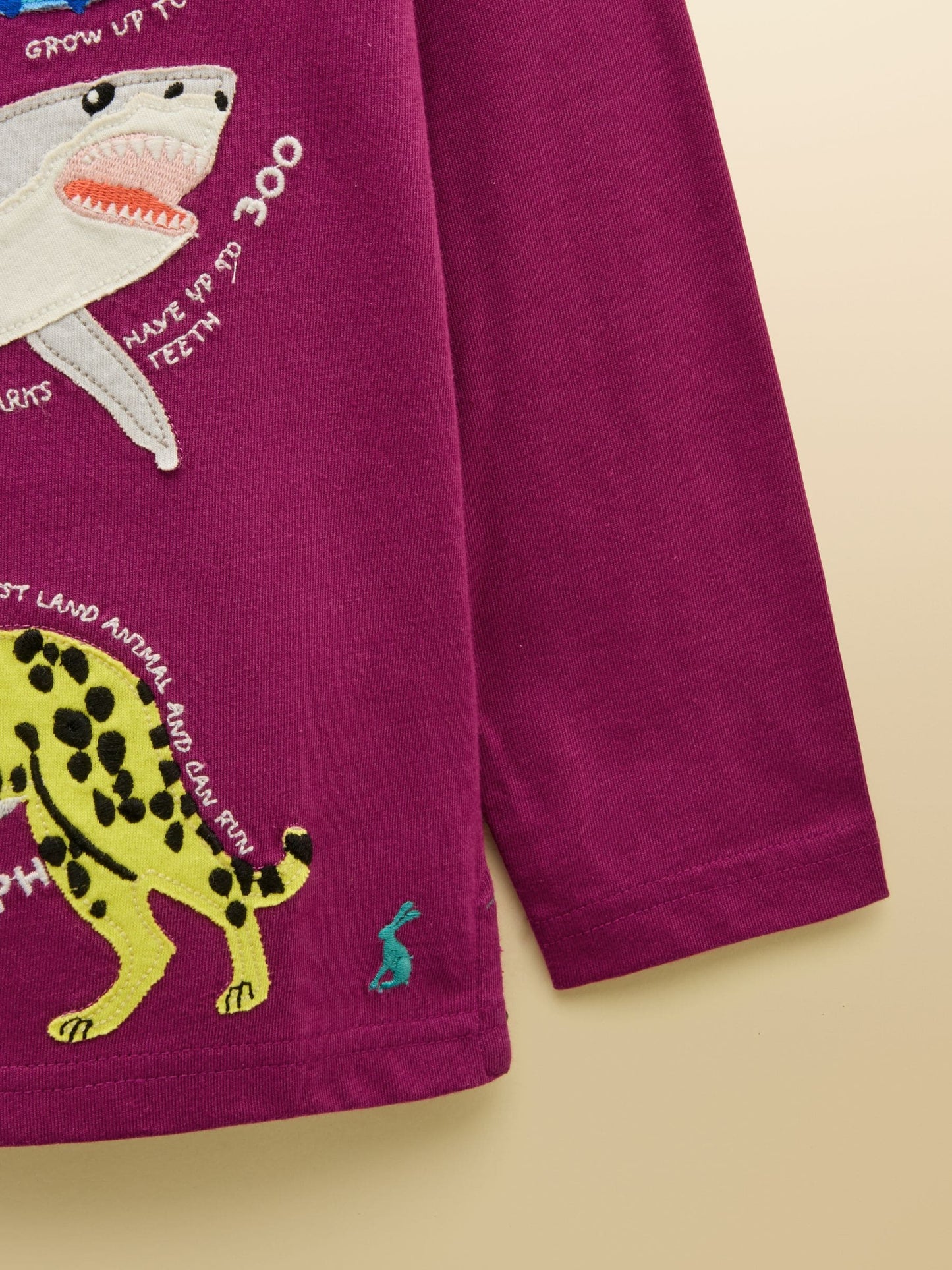 Dsiney Kidz - Joules Boys' Finlay Purple Long Sleeve Applique Graphic T-Shirt image 4