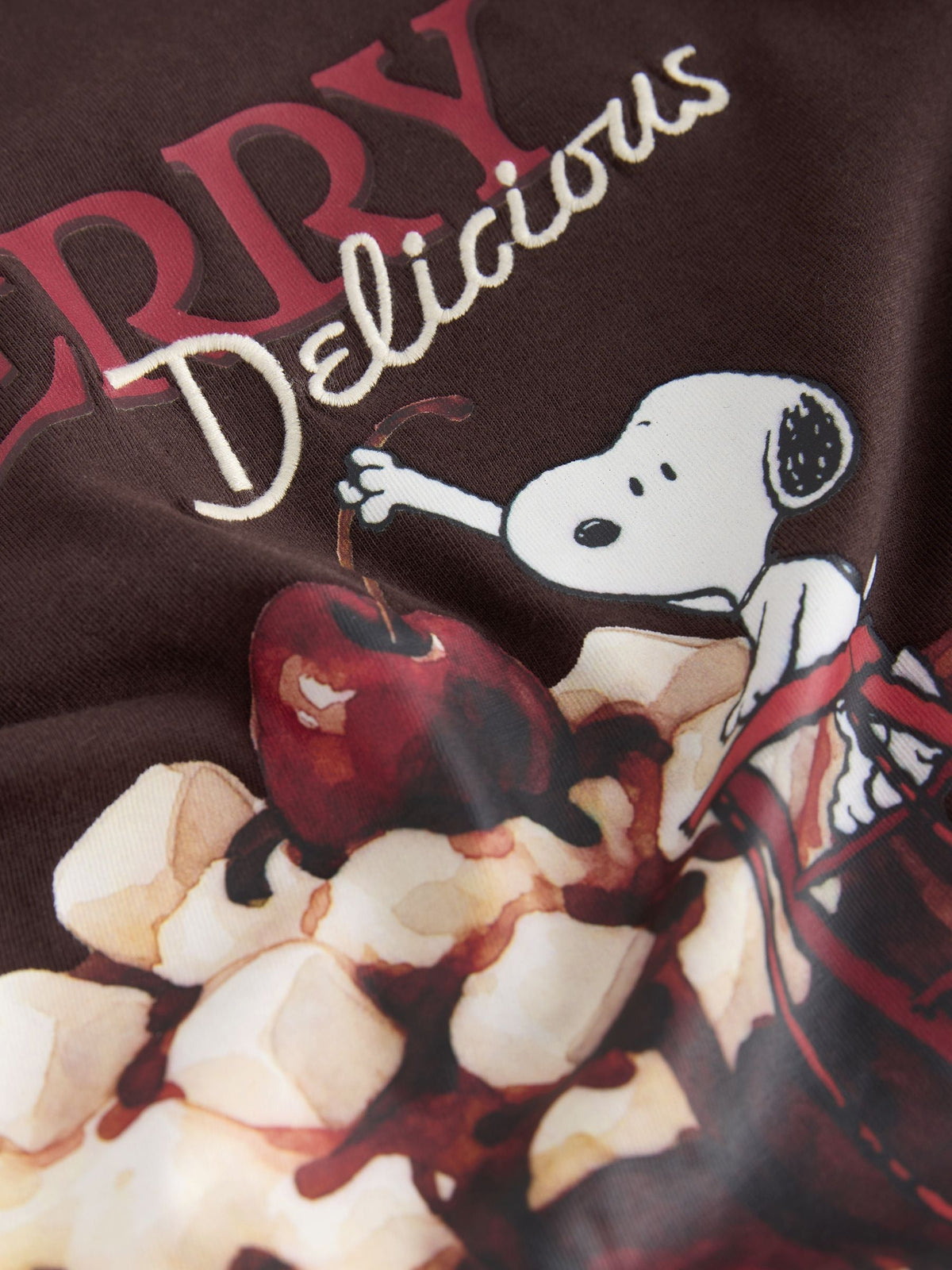 Brown Snoopy Licence Boxy Elbow Sleeve Crew Neck T-Shirt - image 7