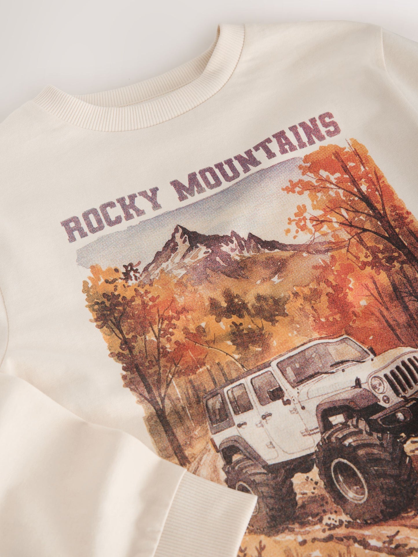Dsiney Kidz - Ecru White Truck Regular Fit Long Sleeve Graphic Print T-Shirt (3-16yrs) image 4