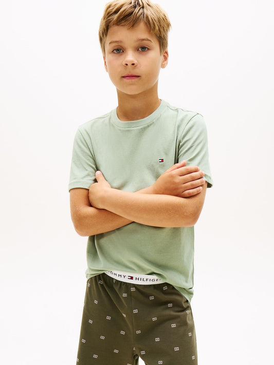 Tommy Hilfiger Green Signature Crew Neck T-Shirts 2 Pack image 2