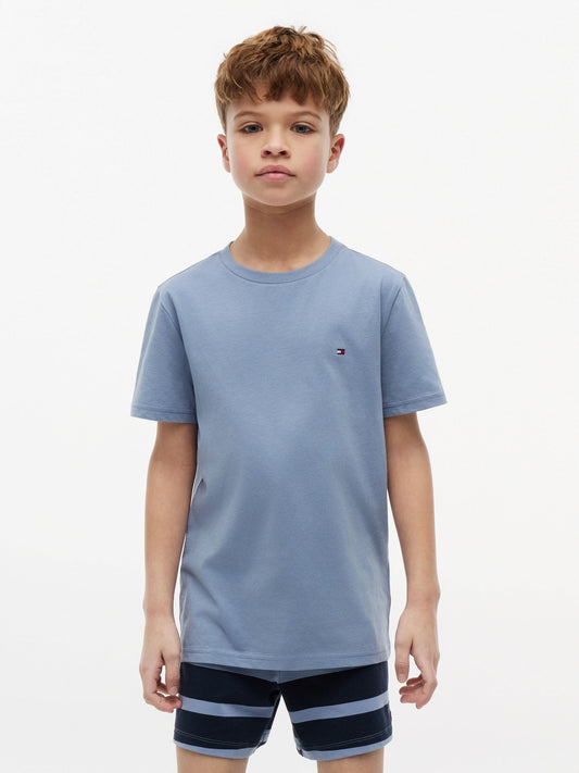 Tommy Hilfiger Sweet Blue / Brisk Blue Signature Crew Neck T-Shirts 2 Pack image 2