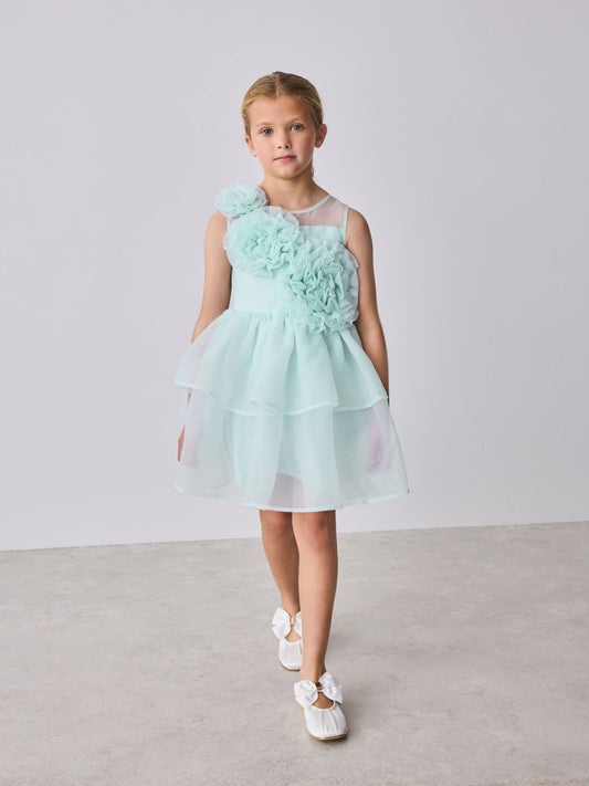 Dsiney Kidz - Baker by Ted Baker Corsage Organza Occasion Dress image 2