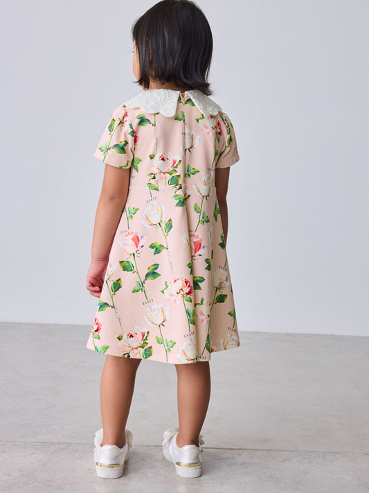 Baker by Ted Baker Lace Collared Ponte Dress image 2