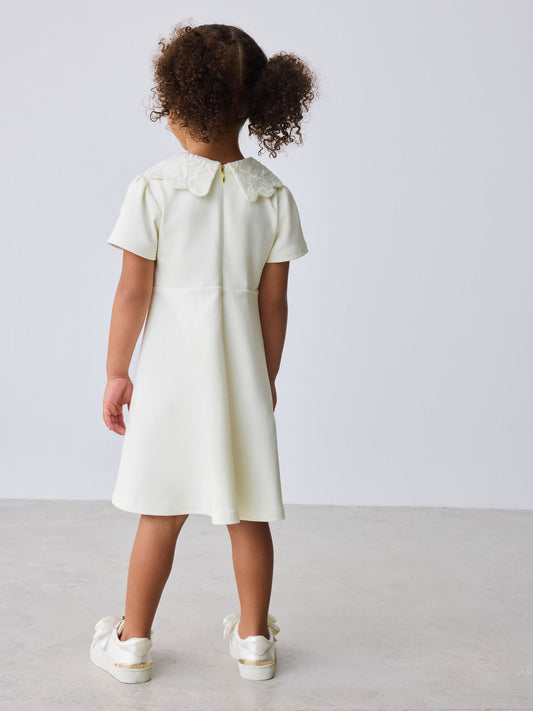 Baker by Ted Baker Lace Collared Ponte Dress image 2