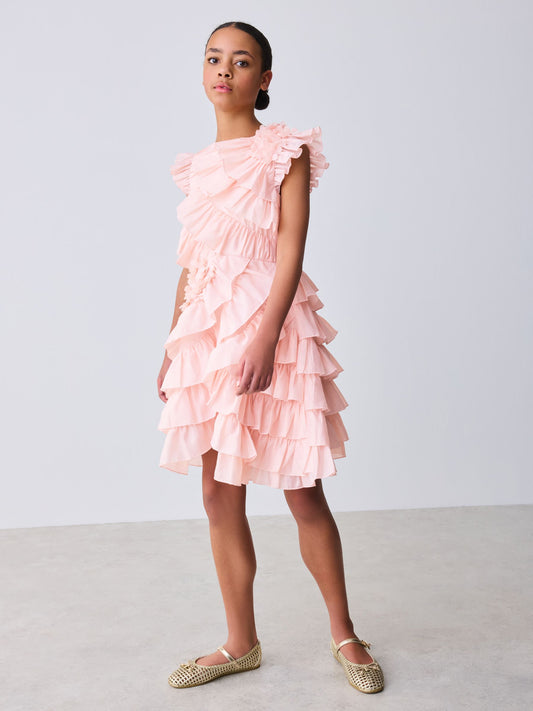 Dsiney Kidz - Baker by Ted Baker Pink 3D Ruffle Dress image 2