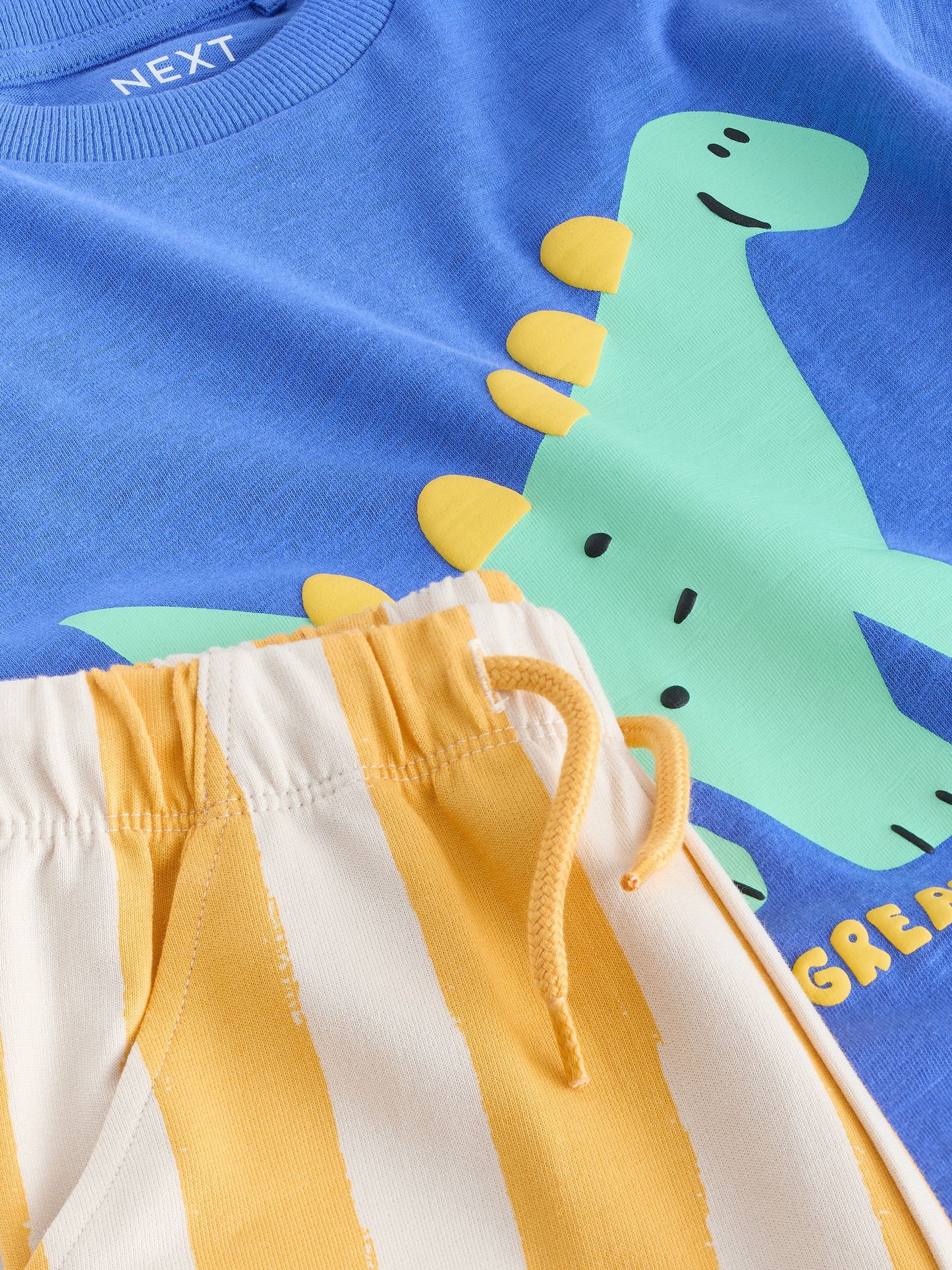 Blue Dinosaur Short Sleeve T-Shirt and Shorts Set (3mths-7yrs) image 5