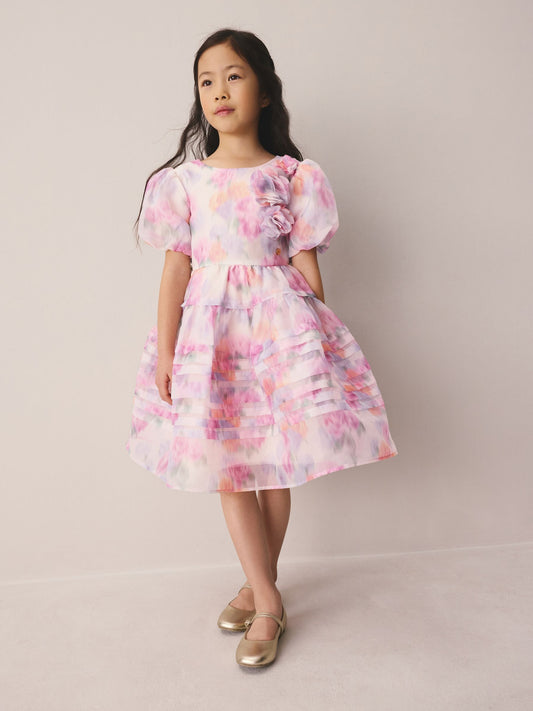 Dsiney Kidz - Laura Ashley Pink Garden Roses Blurred Corsage Organza Pintuck Dress image 2