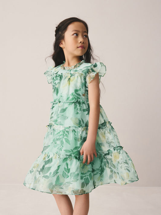 Dsiney Kidz - Laura Ashley Green Elowen Peony Frill Tiered Organza Dress image 2