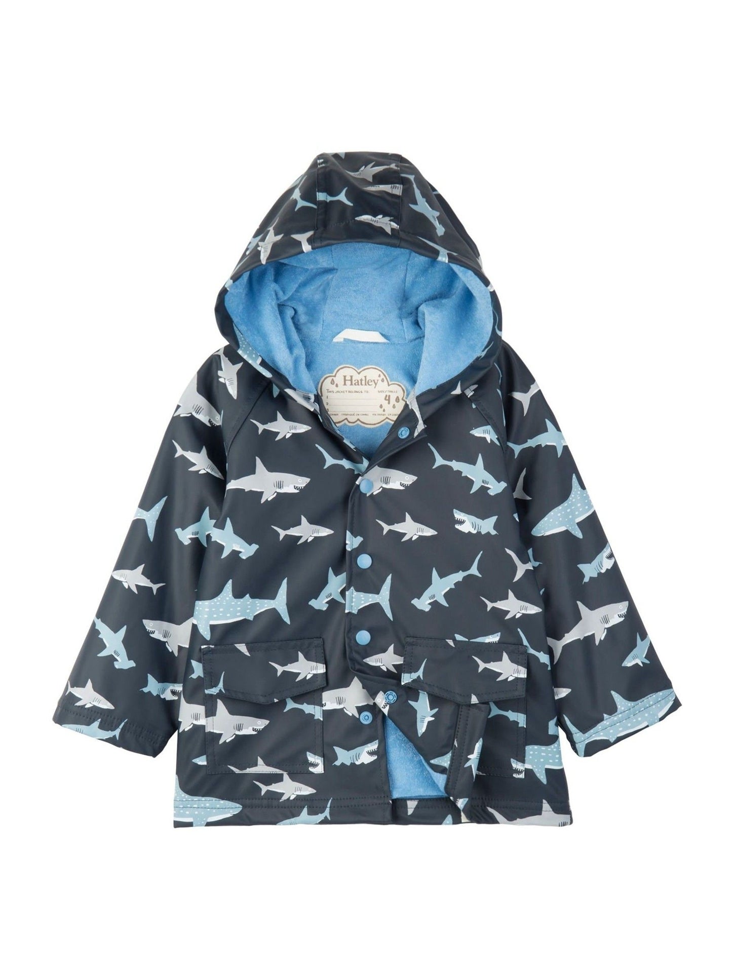 Dsiney Kidz - Hatley Blue Shark Frenzy Raincoat image 3