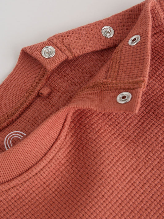 Rust Brown Baby Top and Shorts Set (0mths-2yrs) image 3