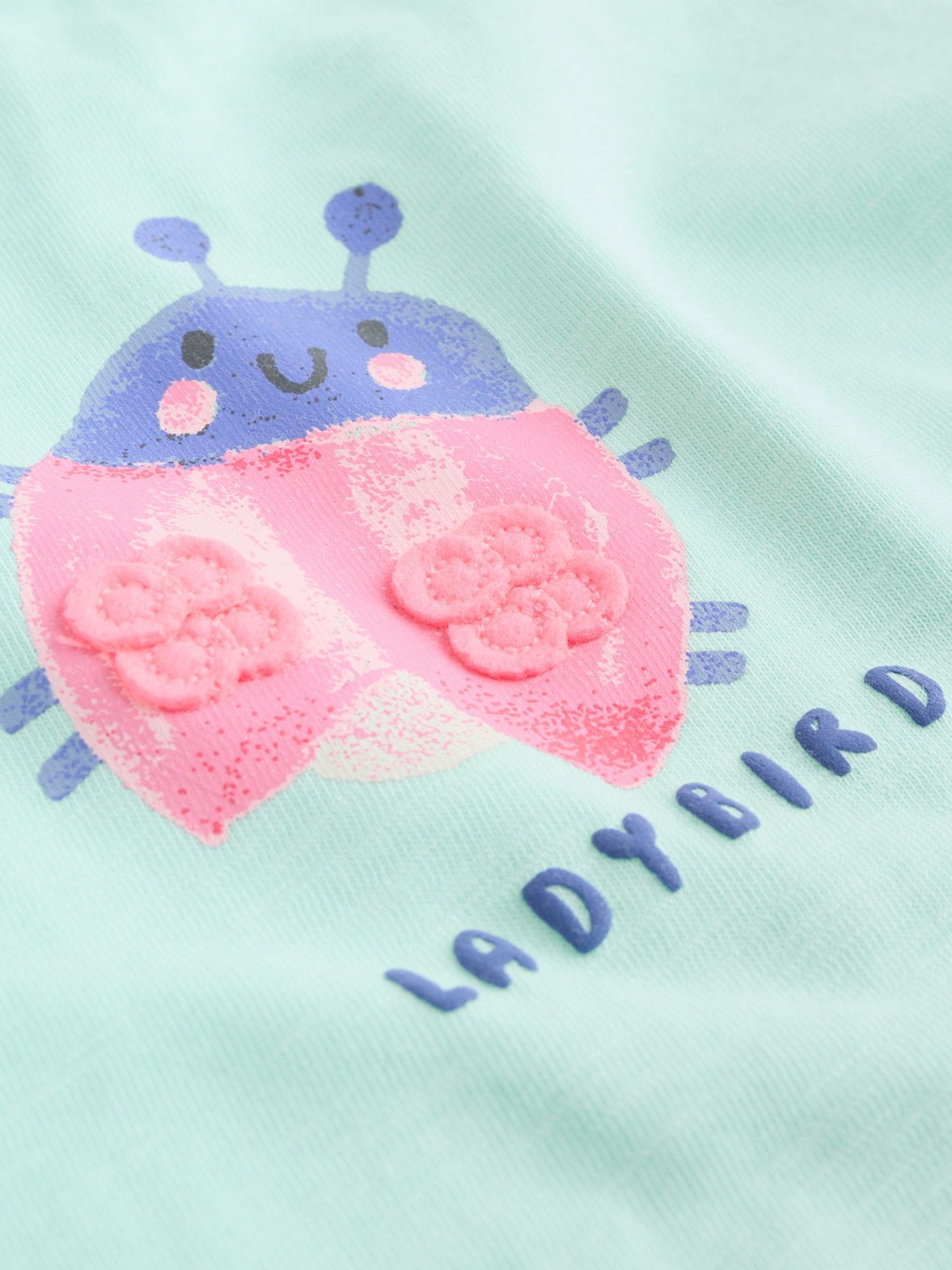 Green Pink Ladybird Short Sleeve Baby Top and Short Set 2 Piece (0mths-2yrs) image 8