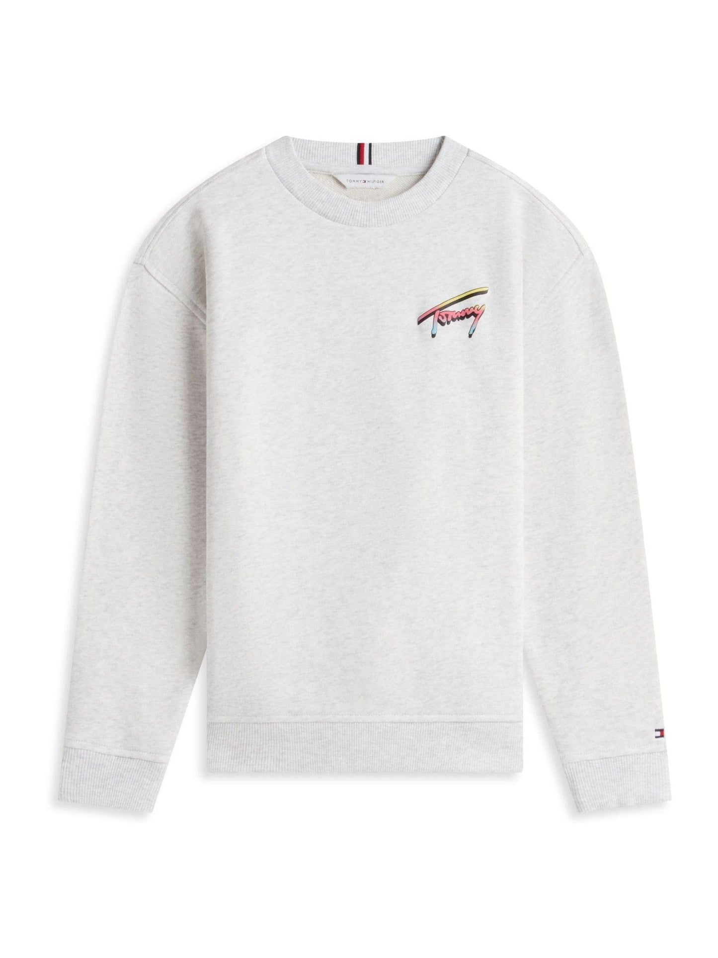 Dsiney Kidz - Tommy Hilfiger Grey Back Logo Graphic Sweatshirt image 5
