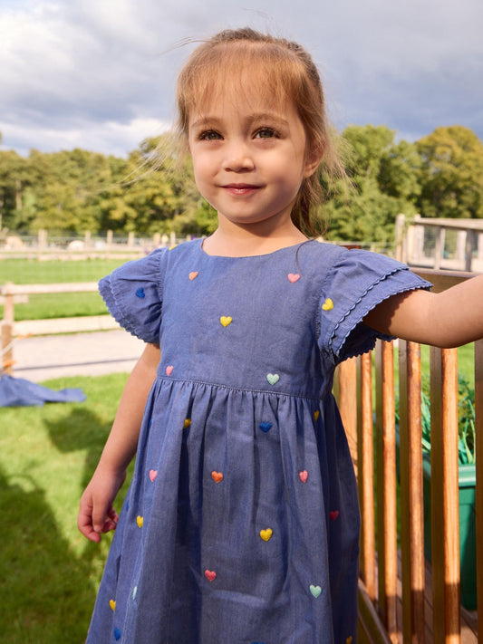 JoJo Maman Bébé Chambray Blue Hearts Embroidered Frill Sleeve Dress image 2