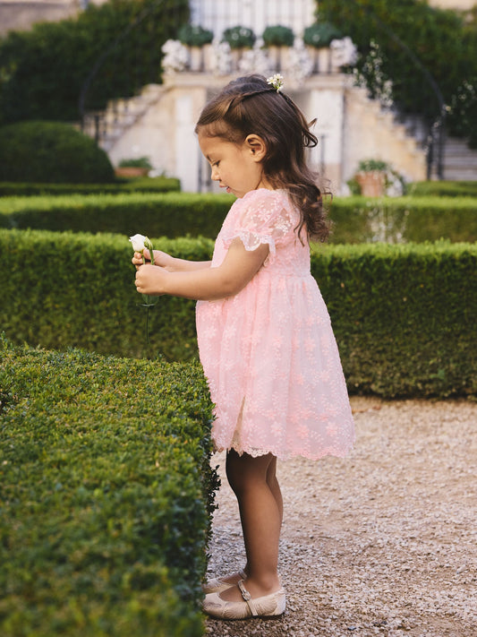 Dsiney Kidz - Pastel Pink Embroidered Prom Dress (3mths-8yrs) image 2
