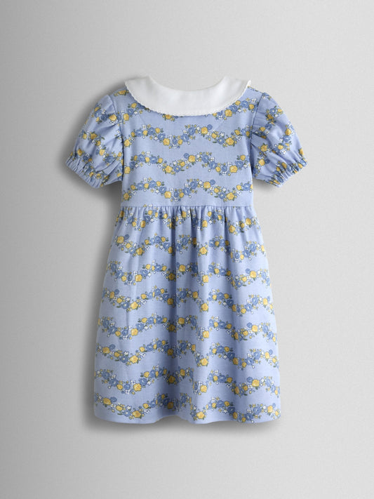 JoJo Maman Bébé Cornflower Blue Duck Floral Collared Pet In Pocket image 2