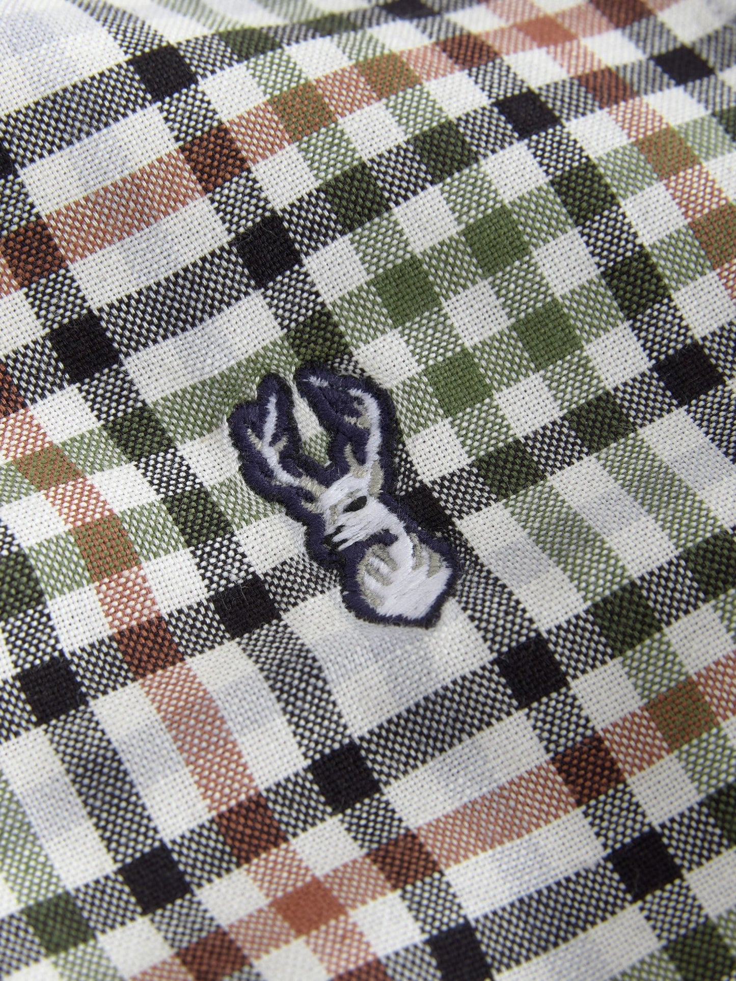 Dsiney Kidz - Ecru Gingham Check Short Sleeve Smart Shirt (3-16yrs) image 8