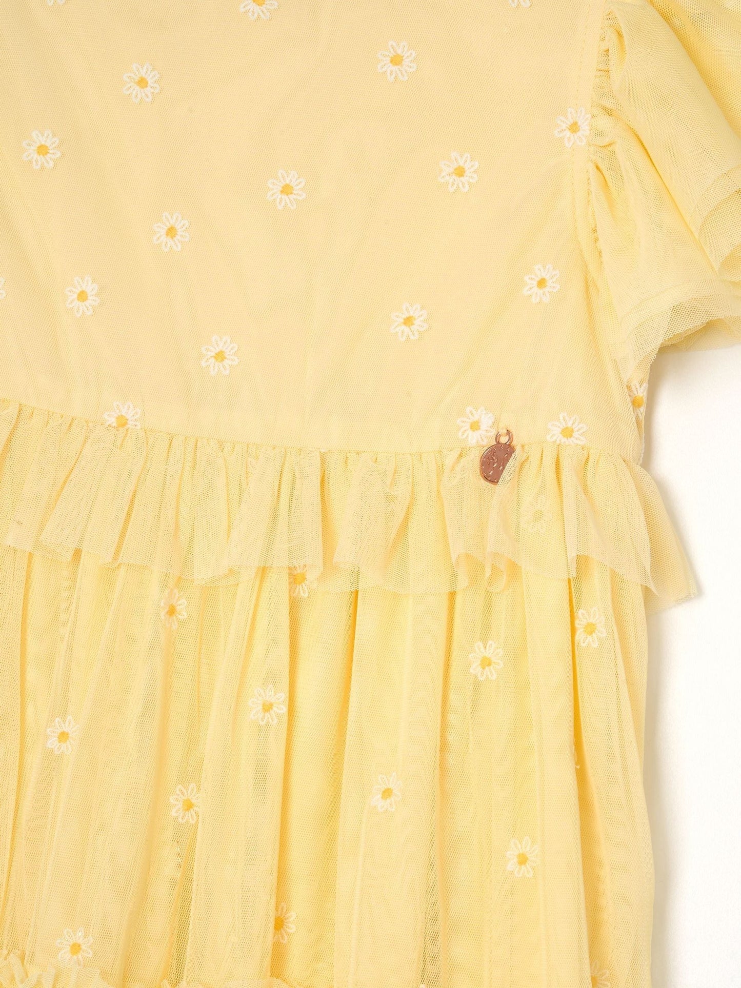 Dsiney Kidz - Angel & Rocket Yellow Luisa Yellow Embroidered Mesh Dress image 6