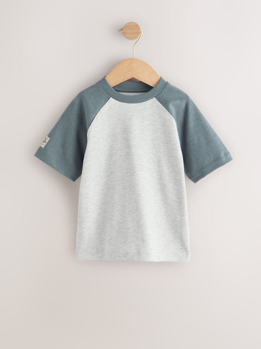 Grey Long Sleeve Raglan T-Shirts 3 Pack (3mths-7yrs) image 2