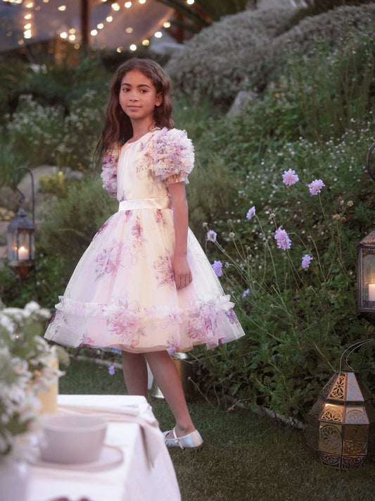 Dsiney Kidz - Angel & Rocket Pink Florence Blush Ruffle Sleeve Mesh Dress image 2