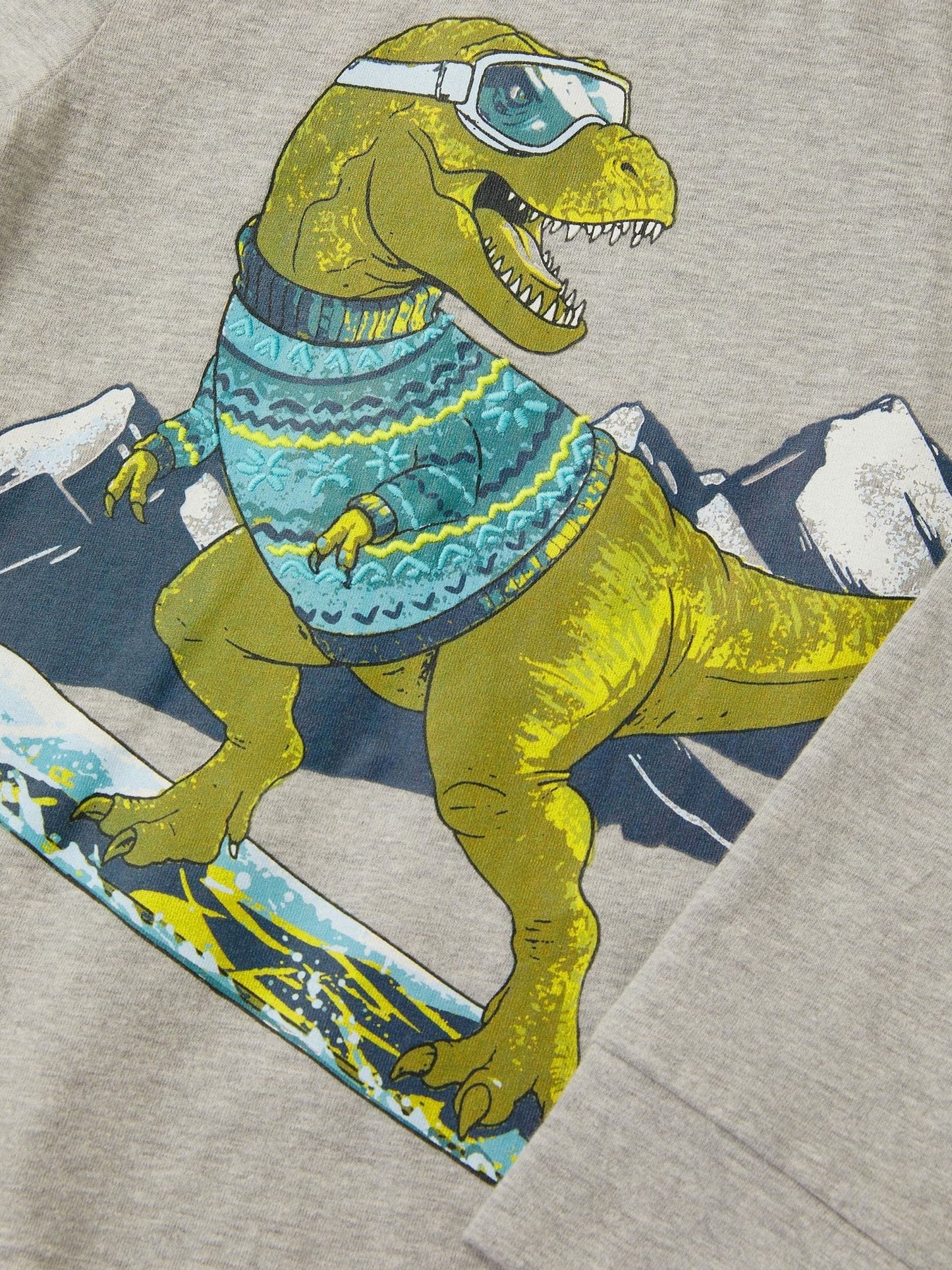 Dsiney Kidz - Monsoon Grey Snowboard Dinosaur Long Sleeve Top image 3