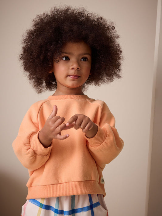 Orange Crew Neck Sweatshirt (3mths-7yrs) image 3