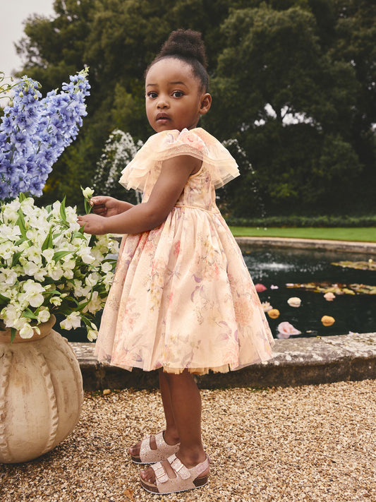 Dsiney Kidz - Cream Ruffle Collar Mesh Dress (3mths-7yrs) image 2
