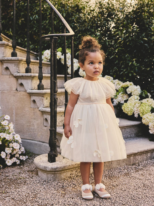Dsiney Kidz - White Ruffle Collar Mesh Dress (3mths-7yrs) image 2