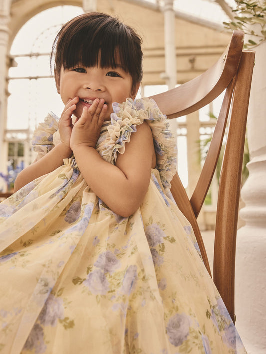 Dsiney Kidz - Yellow Ruffle Shoulder Mesh Dress (3mths-7yrs) image 2