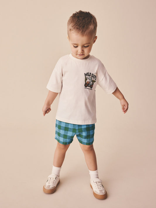 Blue/Green Gingham Linen Blend Pull On Shorts (3mths-7yrs) image 2