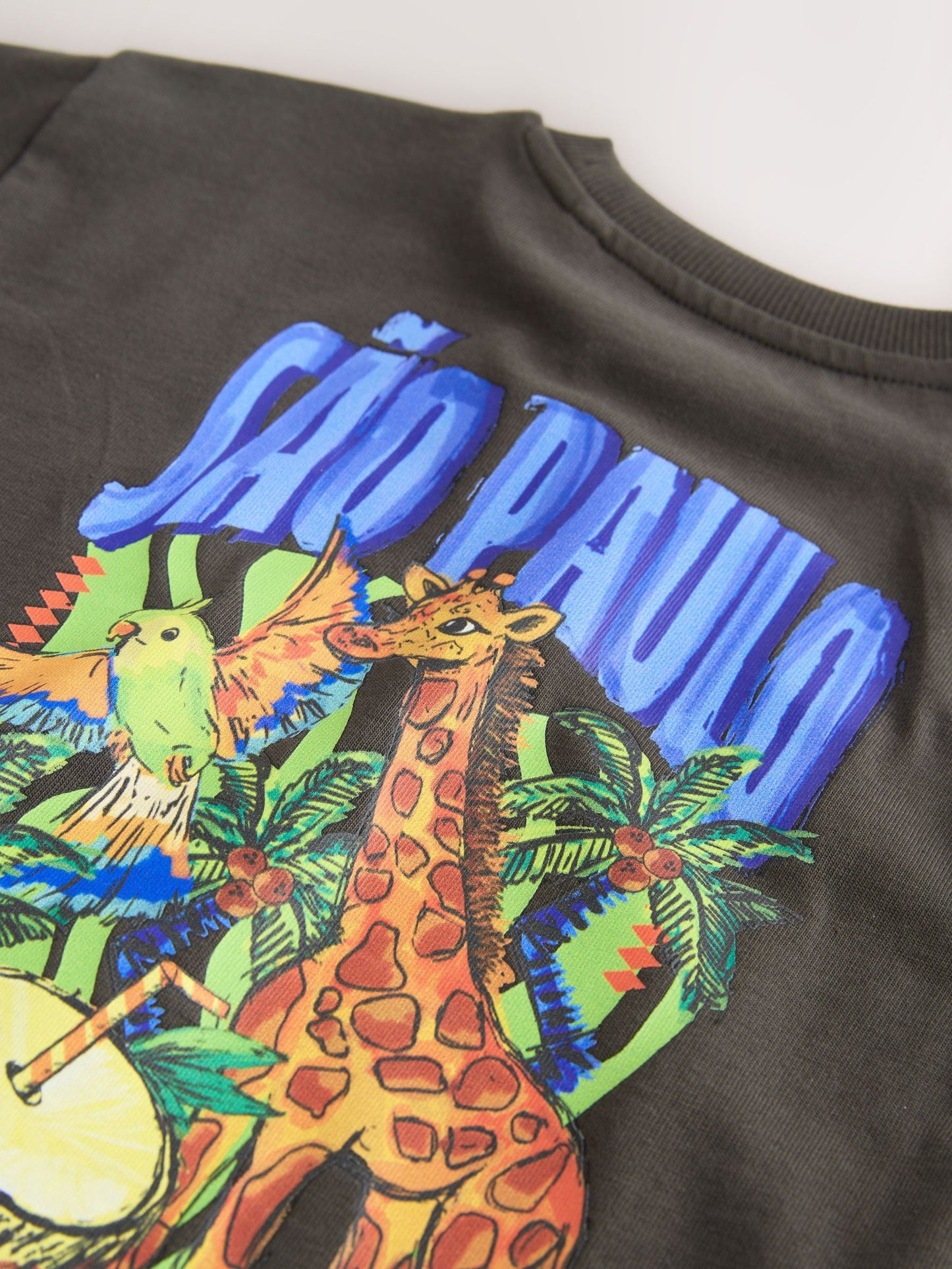 Charcoal Grey Sao Paulo Short Sleeve Back Print T-Shirt (3mths-7yrs) image 9