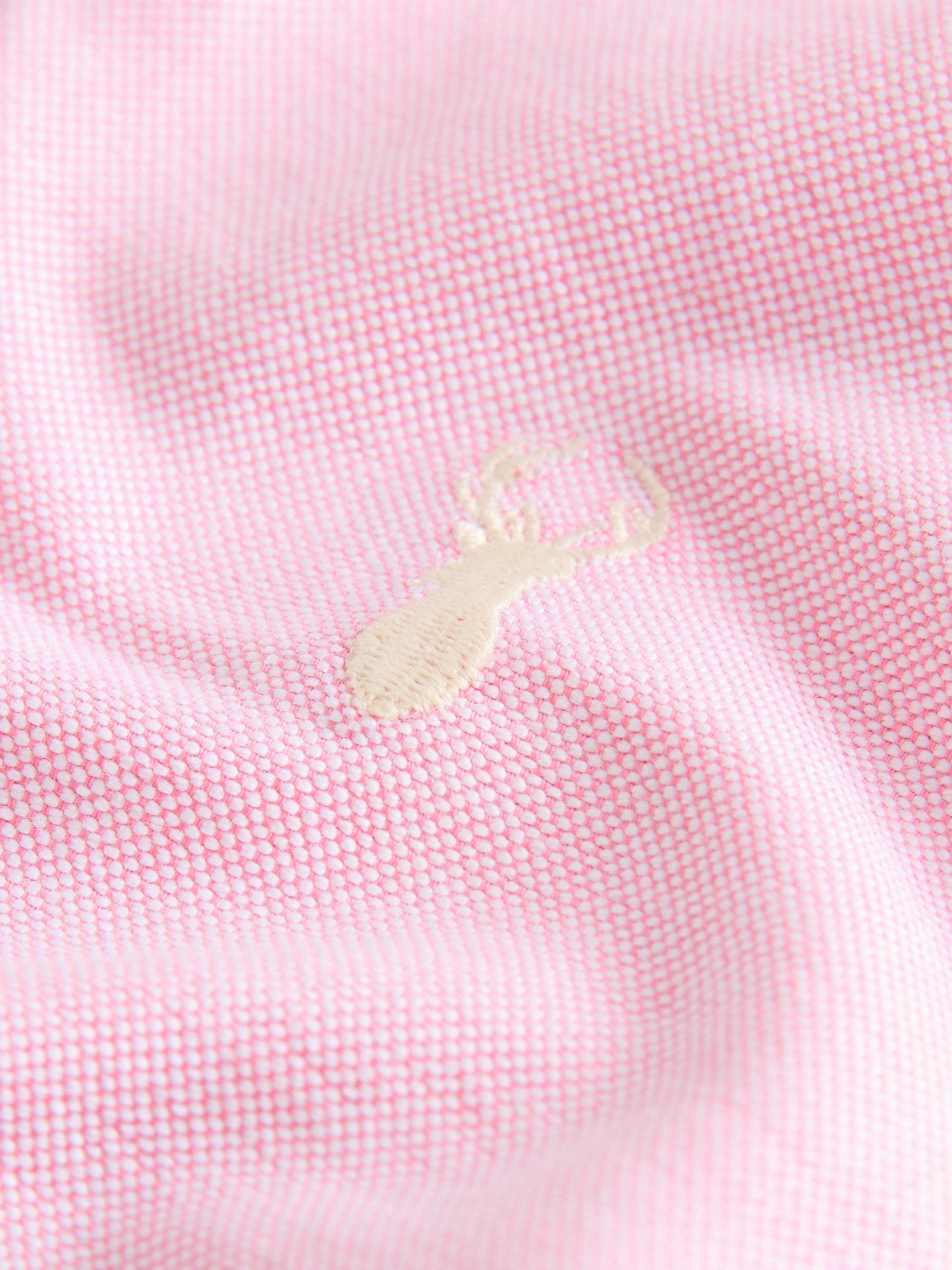 Dsiney Kidz - Pink Single Premium Oxford Shirt (3-17yrs) image 4