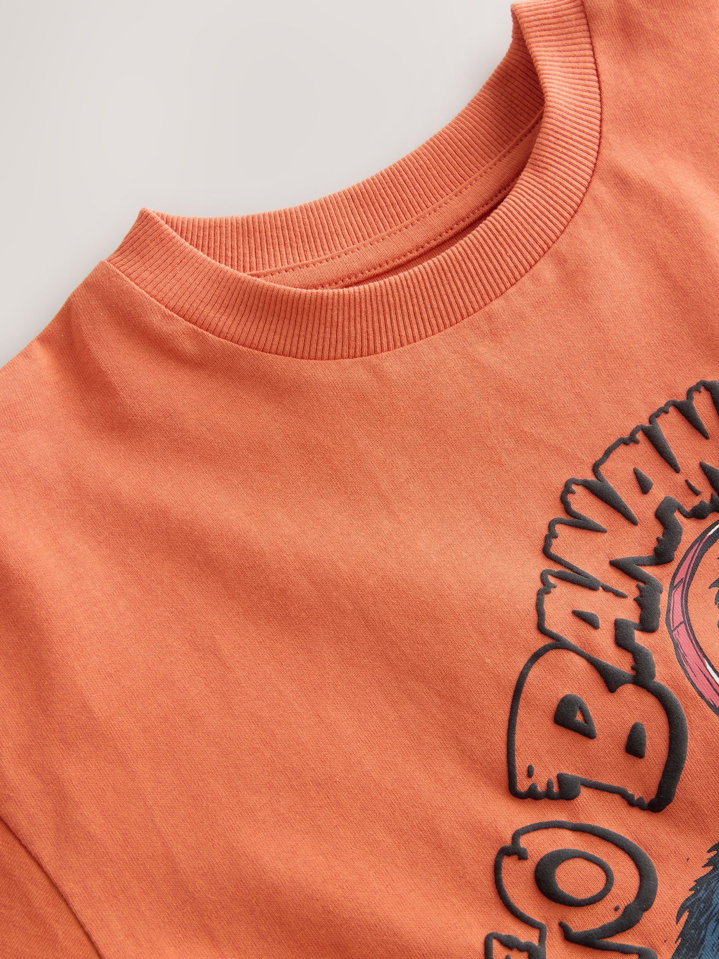 Dsiney Kidz - Rust Bananas Short Sleeve Graphic T-Shirt (3-16yrs) image 4