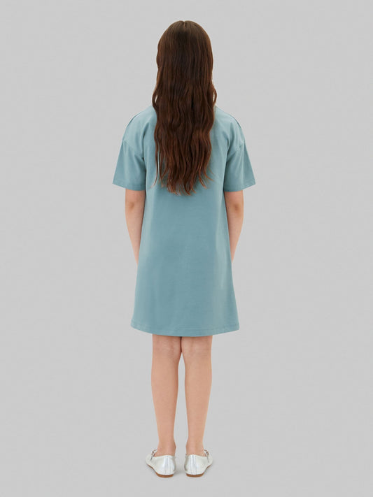 Calvin Klein Jeans Blue Signature Logo T-Shirt Dress image 2