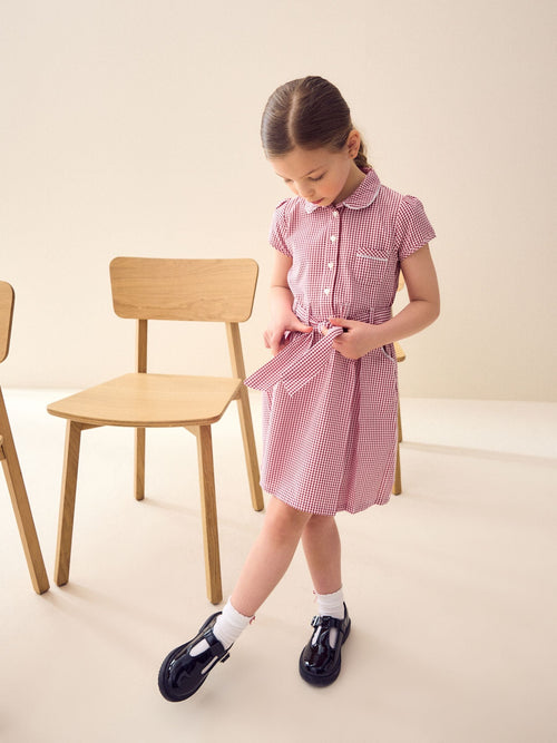 Dsiney Kidz - Red Gingham Cotton Rich Belted School Dress with Scrunchie (3-14yrs) image 1