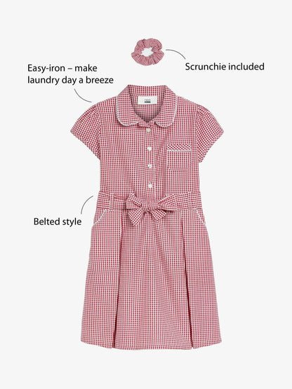 Red Gingham Cotton Rich Belted School Dress with Scrunchie (3-14yrs) image 3