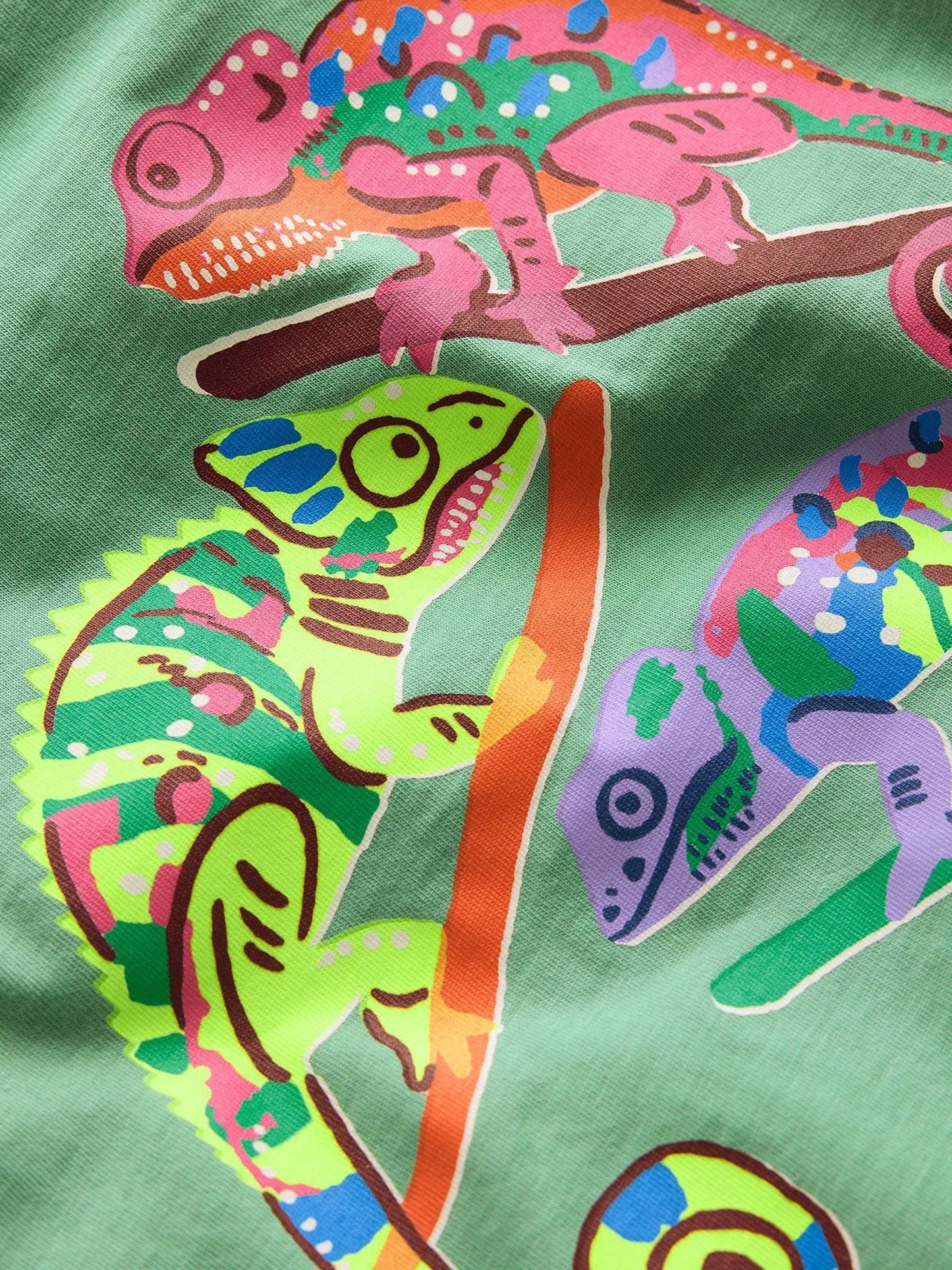 Boden Green Short Sleeve Graphic T-Shirt image 3