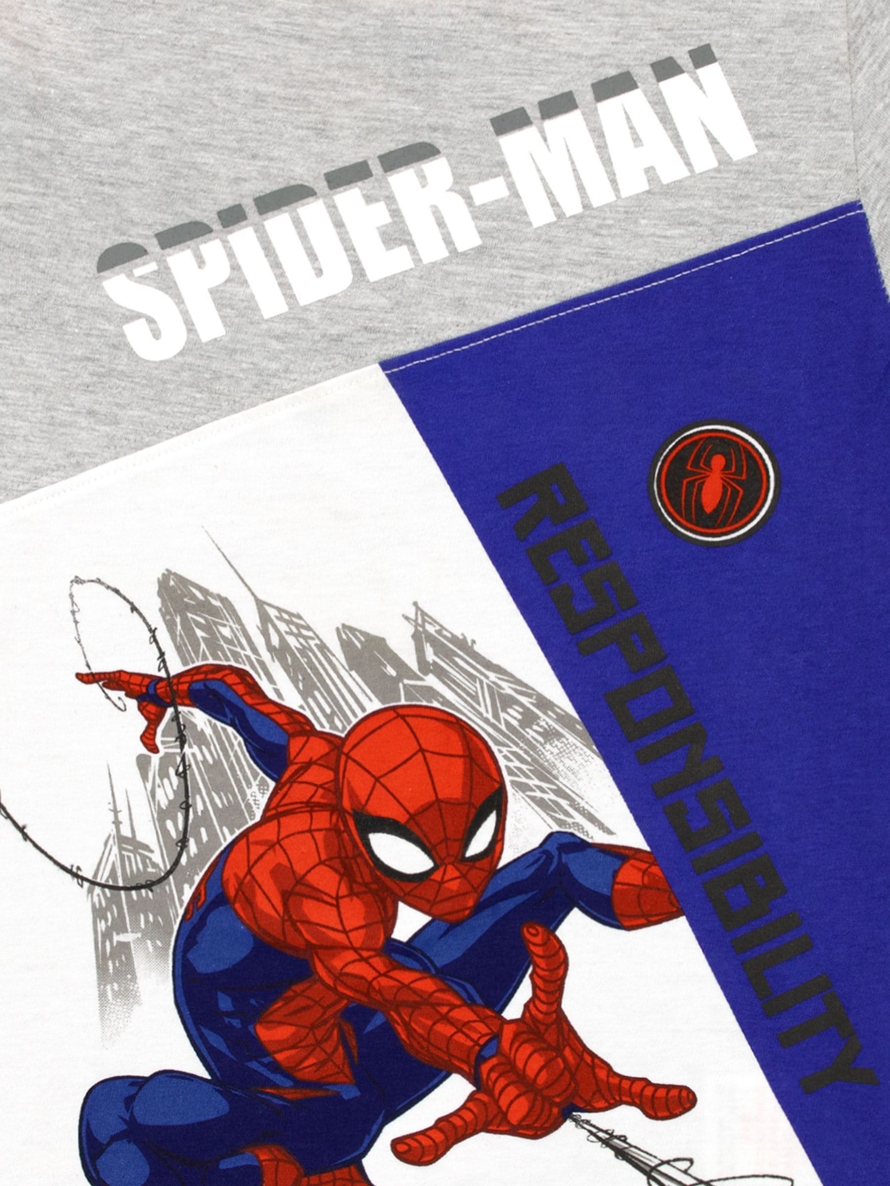 Dsiney Kidz - Character Blue Spider-Man T-Shirt and Shorts Set image 4
